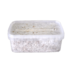 Magic Mushroom Grow Kit Colombia XP fra FreshMushrooms®.