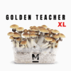 Magic Mushroom Grow Kit Golden Teacher XL fra Mondo®.