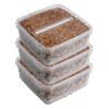 Tre ekstra store Magic Mushroom Grow Kits pakkeaftale